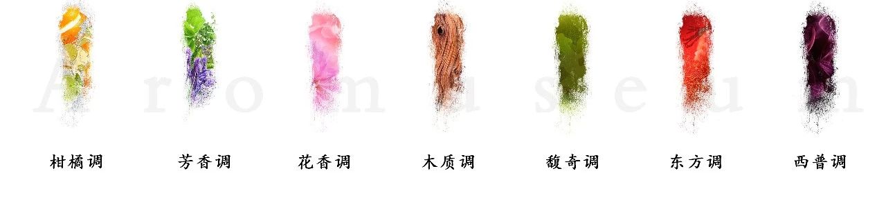 為什么有人一身果香，有人卻一身藿香？
